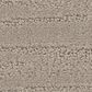 Shaw West Creek Carpet in Bit of Gray, , large