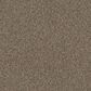 Shaw Grandiose Carpet in Raw Wood, , large