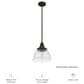 Hunter Cypress Grove 10" 1-Light Pendant in Onyx Bengal, , large