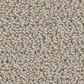 Shaw Intricate Trace Carpet in Sculpture, , large