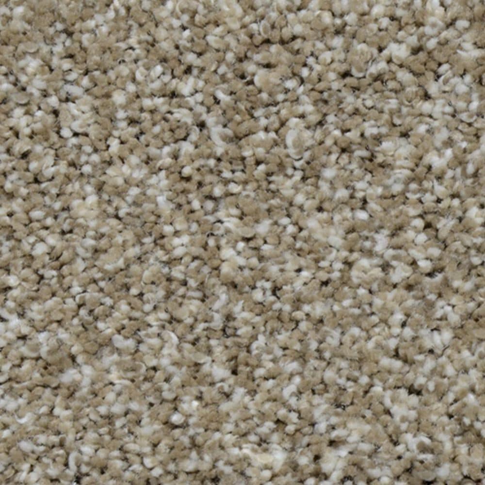 Dream Weaver Cosmopolitan Carpet in Acorn, , large