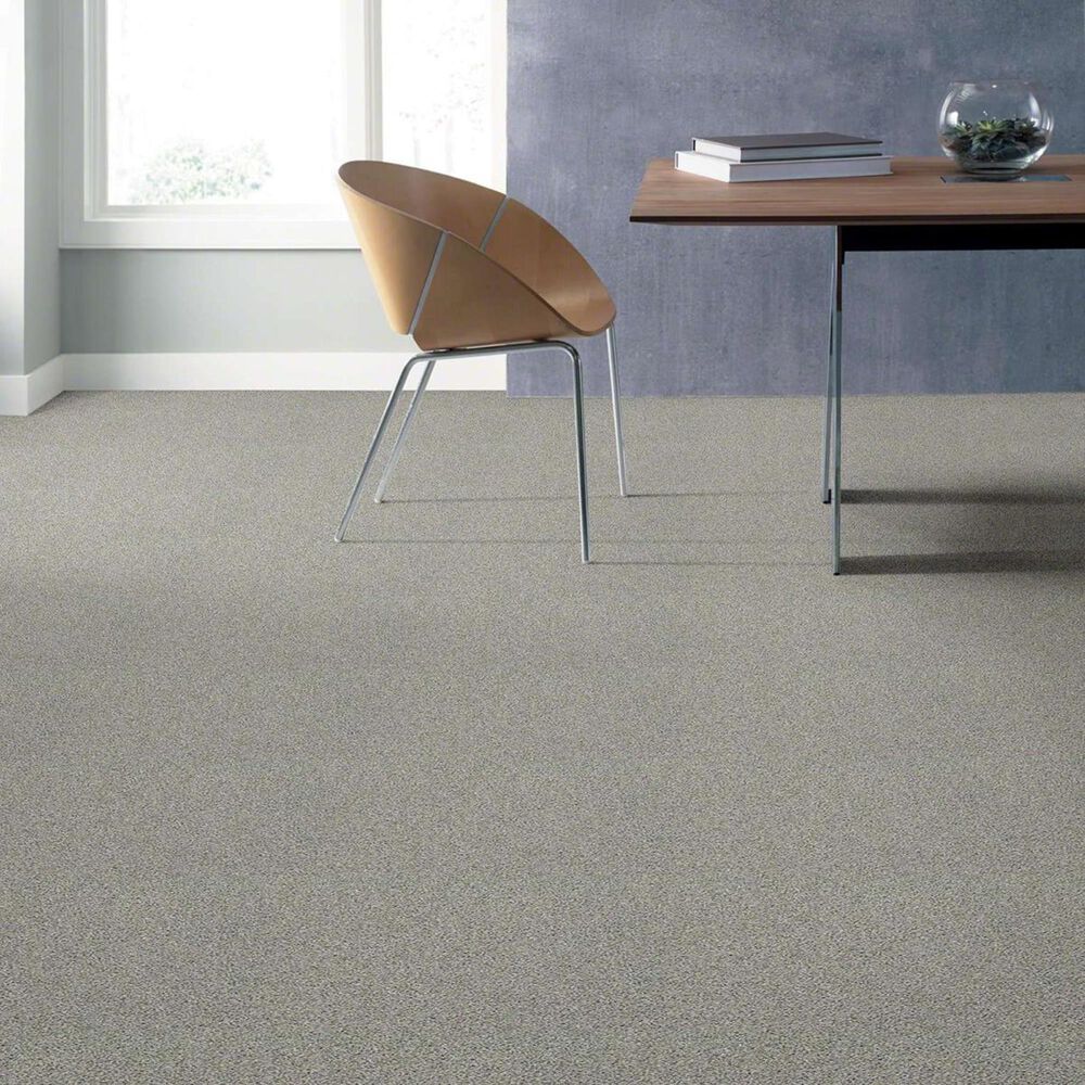Anderson Tuftex Acadia Park Carpet in Classic Stone, , large