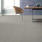 Anderson Tuftex Acadia Park Carpet in Classic Stone, , large