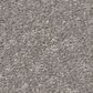 Shaw Bold Move Plus Carpet in Ashes, , large