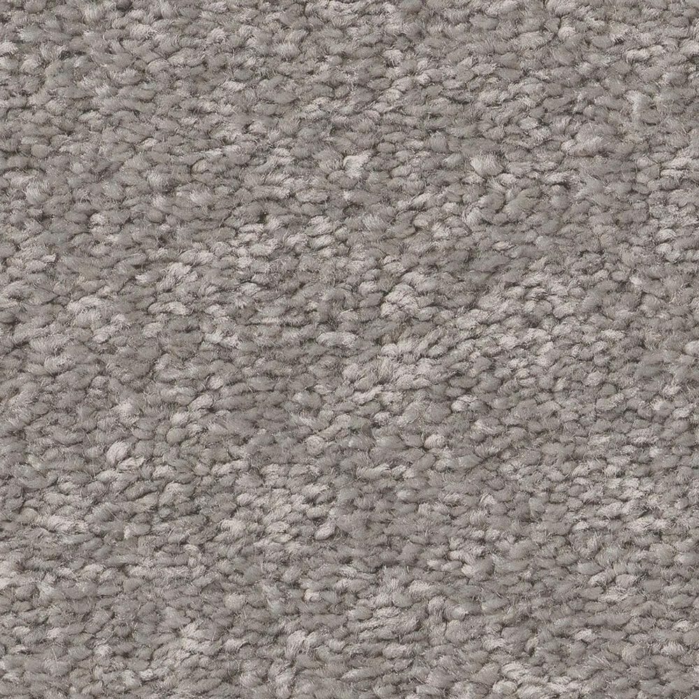 Shaw Bold Move Plus Carpet in Ashes, , large