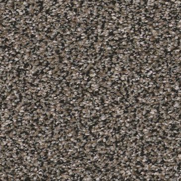 Shaw Artistic Fusion II Carpet in Cafe Noir, , large
