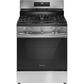 Frigidaire 30" Freestanding Natural Gas Range in Stainless Steel, , large
