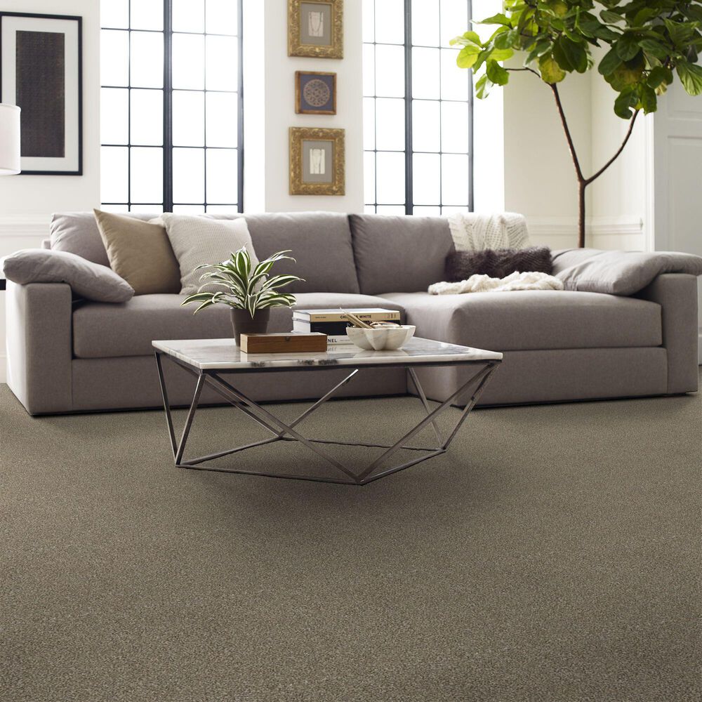 Shaw Artistic Fusion I Carpet in Honeycomb, , large