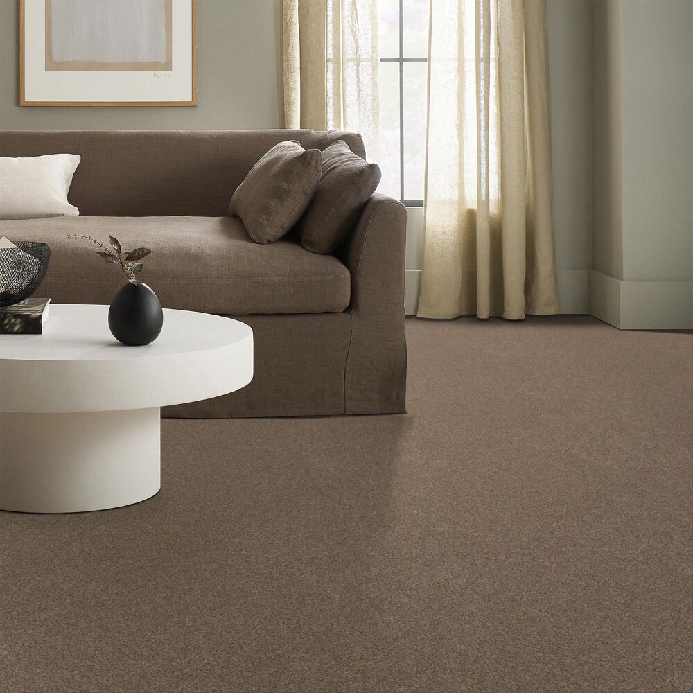 Anderson Tuftex West Peak Carpet in Bungalow, , large
