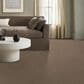Anderson Tuftex West Peak Carpet in Bungalow, , large