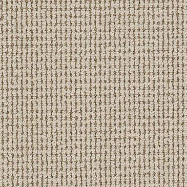 Dixie Home Oak Glen Carpet in Agave, , large