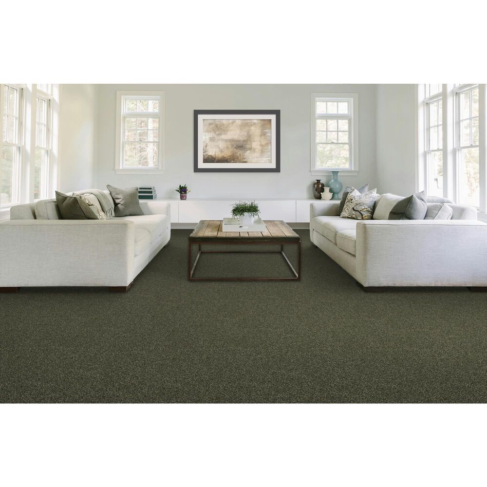Mohawk Quality Feeling Carpet in Inverness, , large