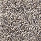 Shaw Simply the Best After It I Carpet in Reflection, , large