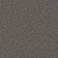 Dream Weaver PS850 Carpet in Meadow Dance, , large