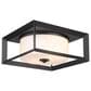 Golden Lighting Smyth 2-Light Outdoor Flush Mount with Opal Glass Shade in Natural Black, , large