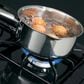 Hotpoint 4.8 Cu. Ft. Freestanding Gas Range with Sealed Burners in Black, , large