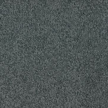 Dixie Home Gentle Wind Carpet in Seaside, , large