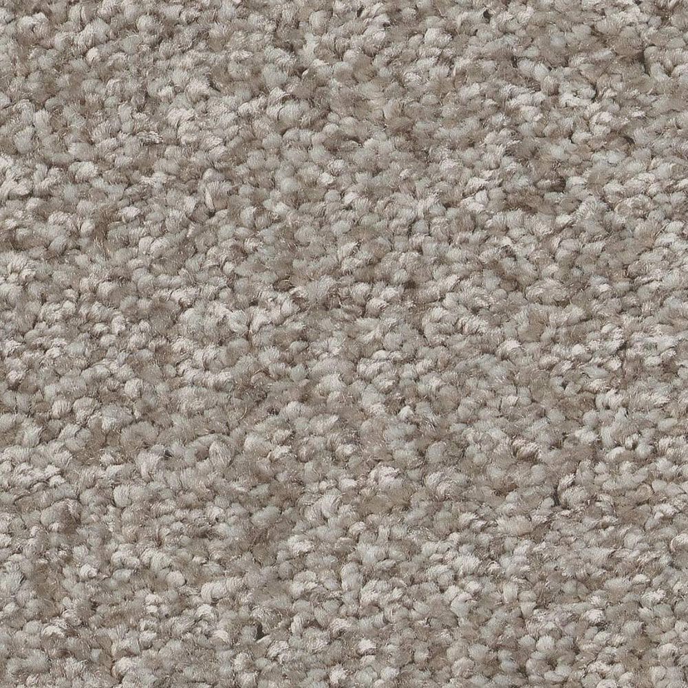 Shaw You Got This II Carpet in Chic Greige, , large