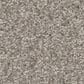 Shaw You Got This II Carpet in Chic Greige, , large