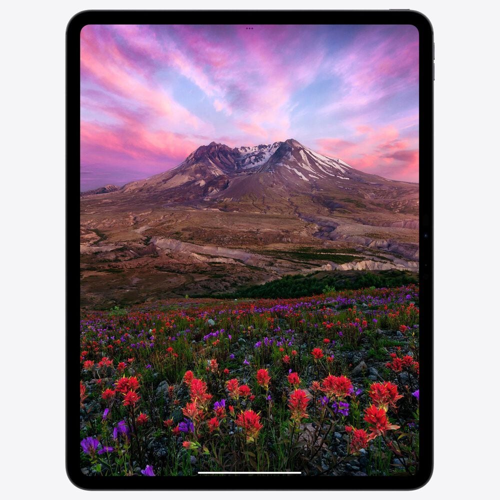 Apple iPad Pro 11-Inch M4 chip with Wi-Fi only - 256GB in Space Black, , large