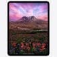 Apple iPad Pro 11-Inch M4 chip with Wi-Fi only - 256GB in Space Black, , large