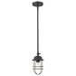 Golden Lighting Seaport Hanging Mini Pendant in Matte Black, , large