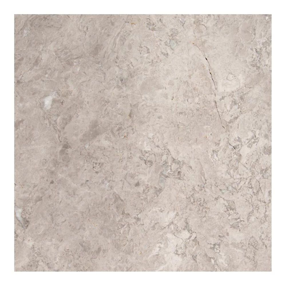 MS International Tundra Gray 12" x 12" Polished Natural Stone Tile, , large