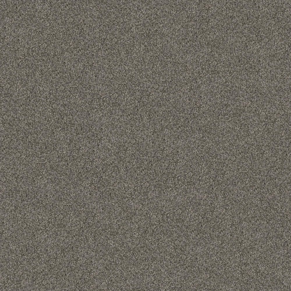 Shaw Yes You Can I Carpet in Rerooted Nature, , large