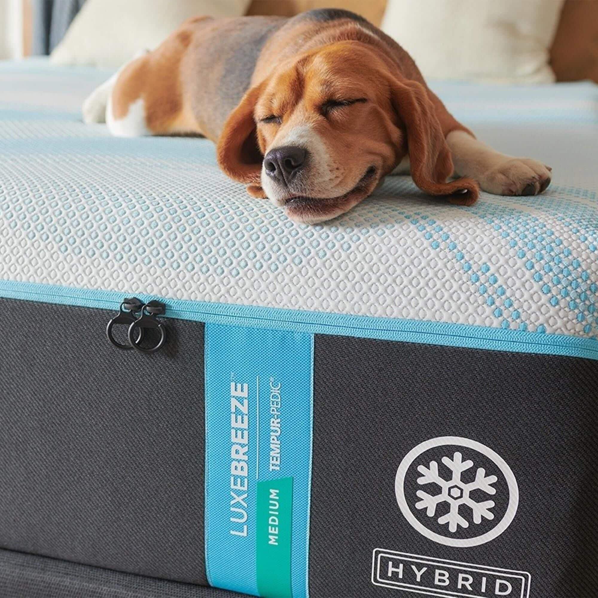 Tempur-Pedic LuxeBreeze 2.0 Medium Hybrid Queen Mattress