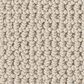 Anderson Tuftex Arden Park Carpet in Drift, , large