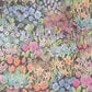 Momeni Helena 2"6" x 8" Multicolor Runner, , large