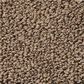 Anderson Tuftex Bali Carpet in Rocky Ridge, , large