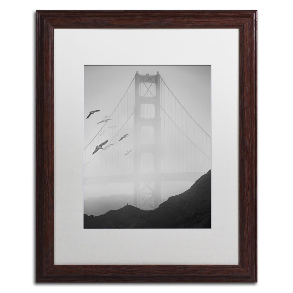 Timberlake Moises Levy "Golden Gate Pier and Birds I" Matted Framed Art, , large
