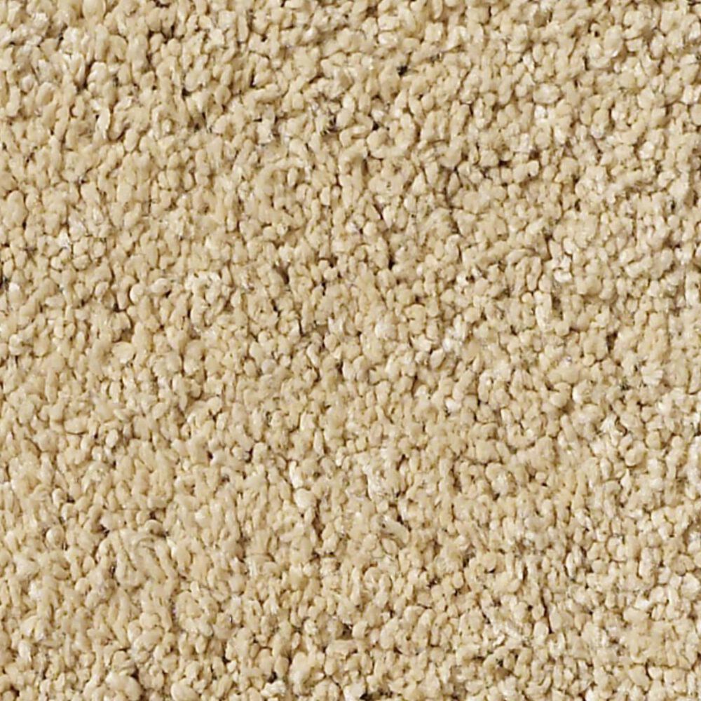 Anderson Tuftex Barracan Classic II Carpet in Manilla, , large