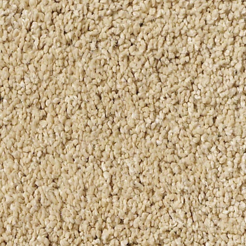 Anderson Tuftex Barracan Classic II Carpet in Manilla, , large