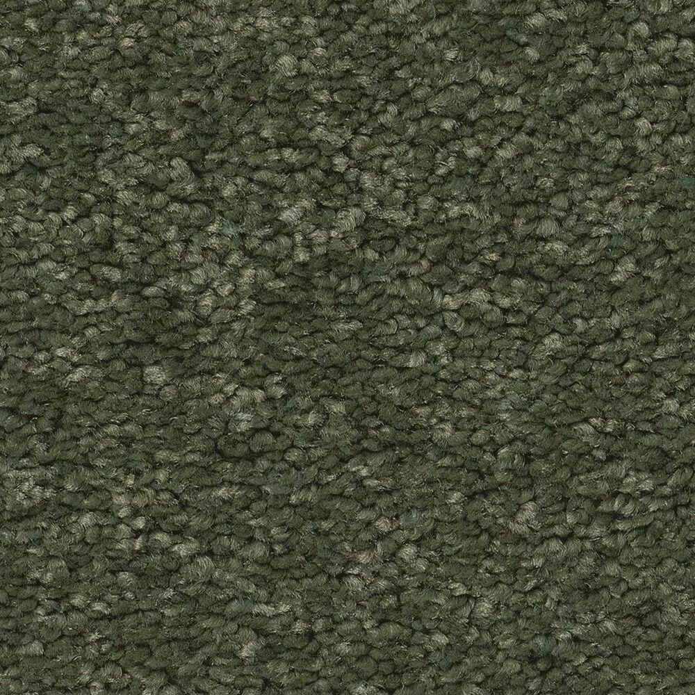 Anderson Tuftex Elegant Beauty Carpet in Bereyl, , large
