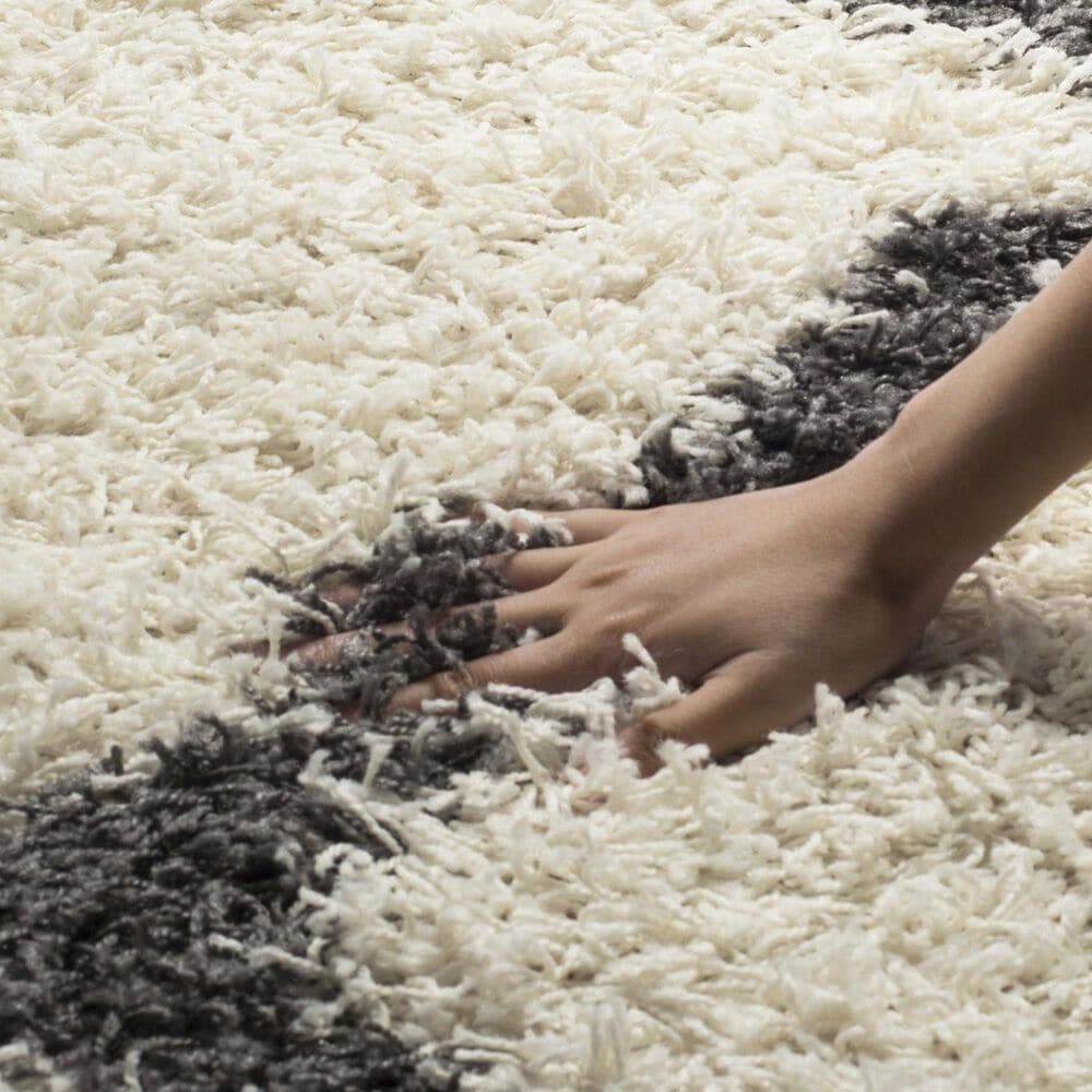 Safavieh Dallas Shag SGD257H-4 4&#39; x 6&#39; Ivory/Dark Grey Area Rug, , large