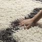 Safavieh Dallas Shag SGD257H-4 4" x 6" Ivory/Dark Grey Area Rug, , large