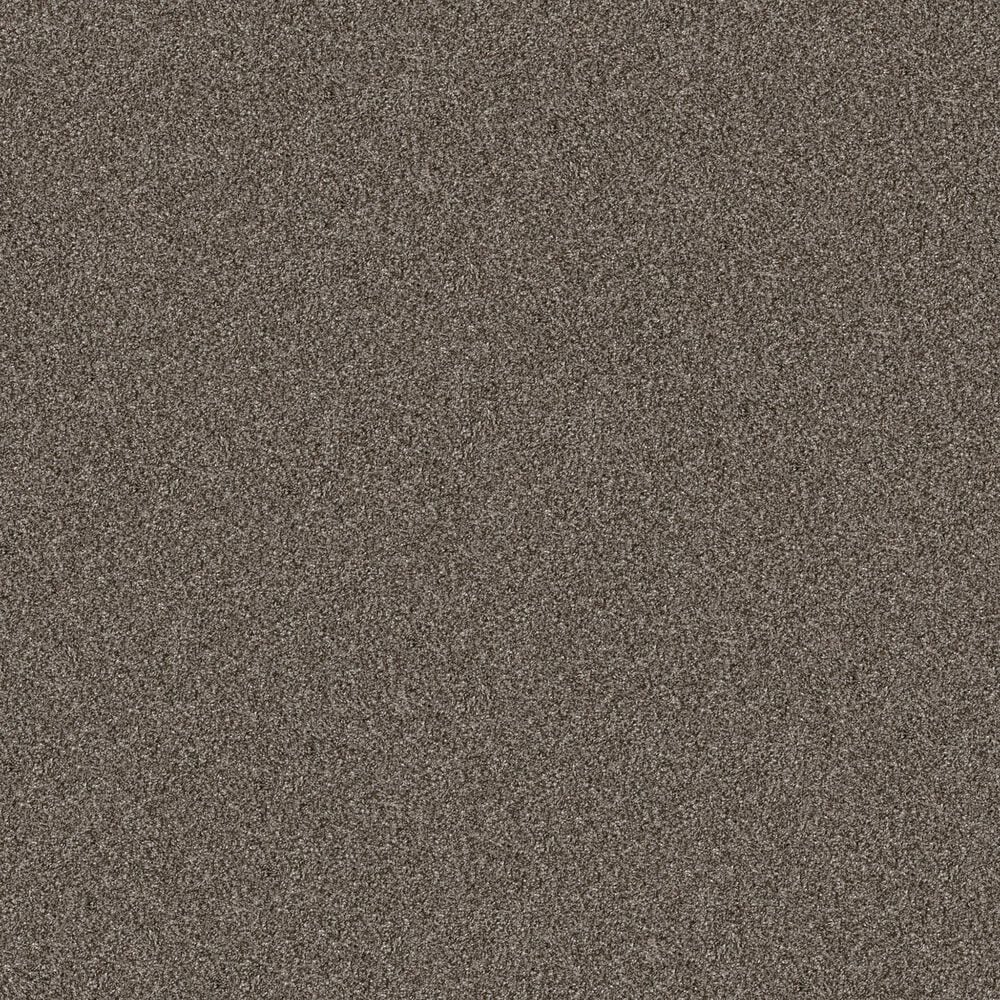 Shaw Yes You Can II Carpet in Urban Rustic, , large