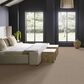 Anderson Tuftex Obscura Carpet in Softlight, , large