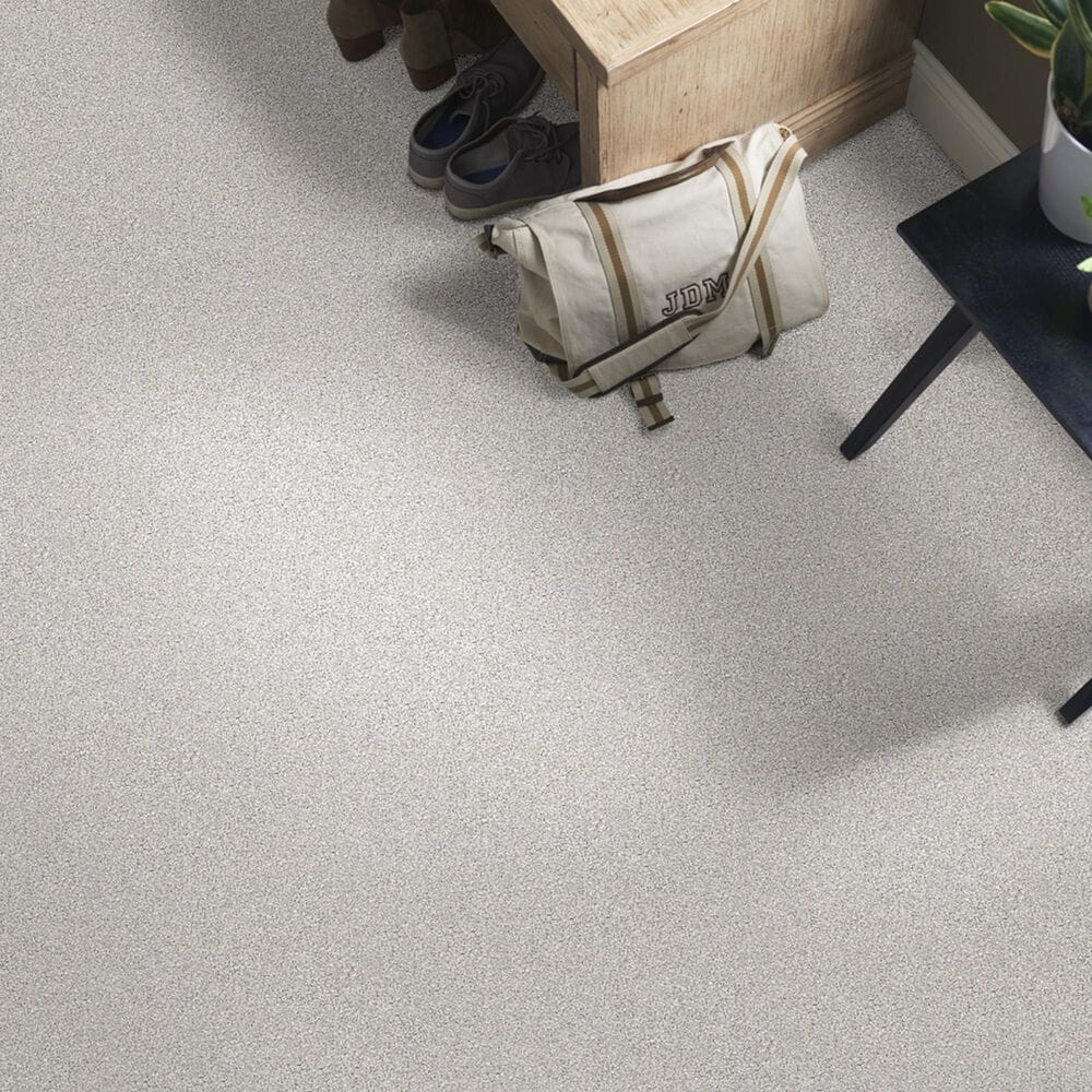 Shaw Foundations Take The Floor Tonal I Carpet in Classique, , large