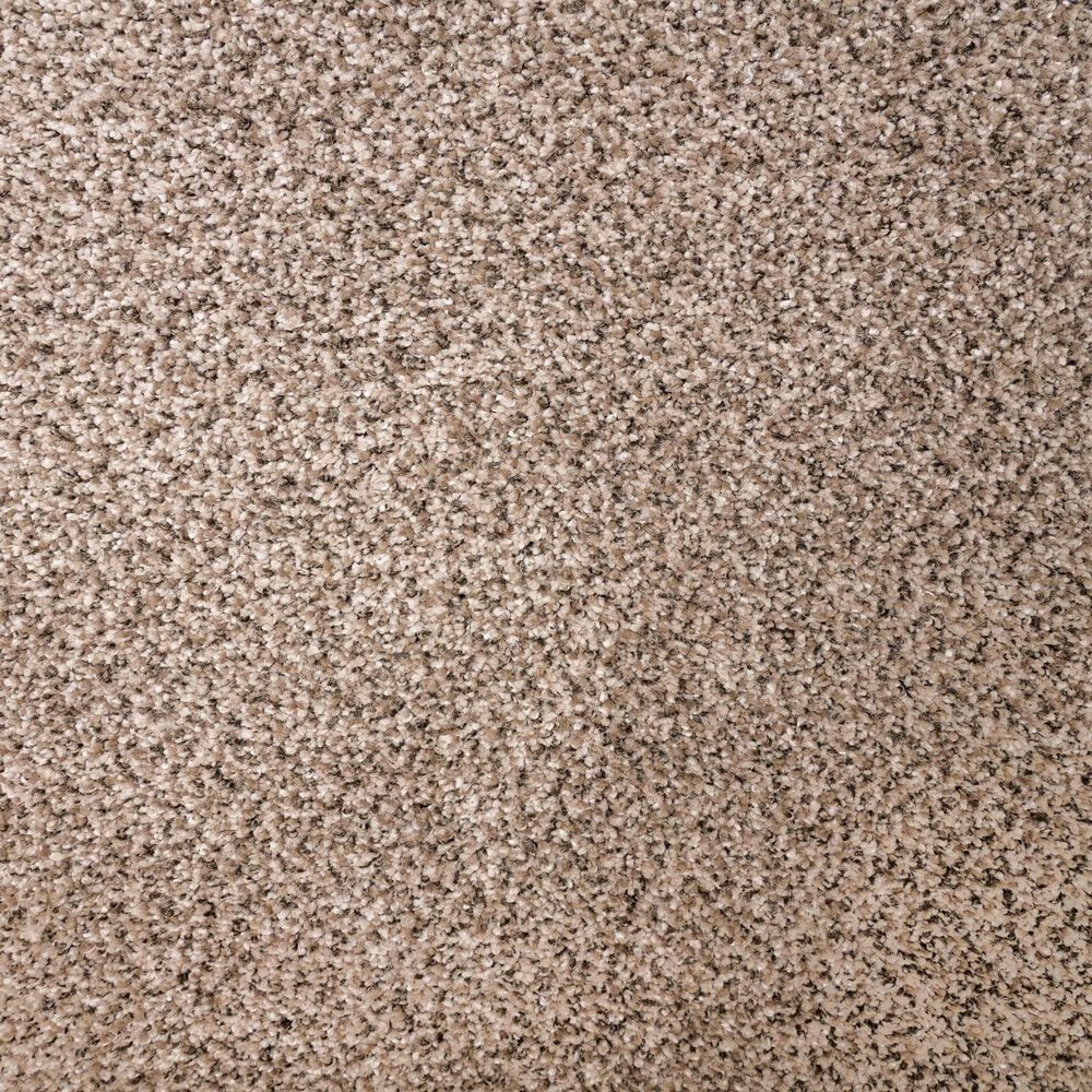 Mohawk Natural Selection I Carpet in Hearthstone, , large