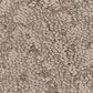 Anderson Tuftex Lavish Living Carpet in Tumbleweed, , large
