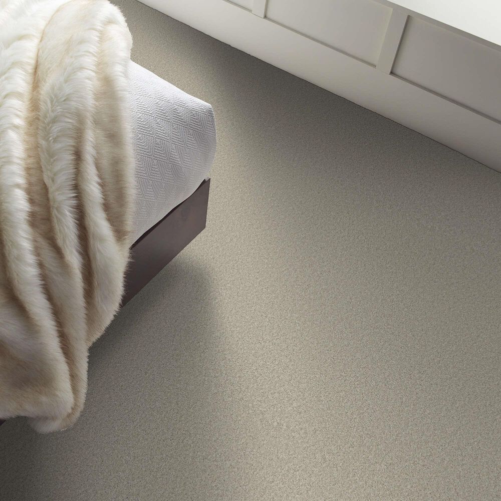 Shaw Tonal Comfort II Carpet in Need A Hug, , large
