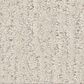 Shaw Endless Memories Carpet in Champagne Toast, , large