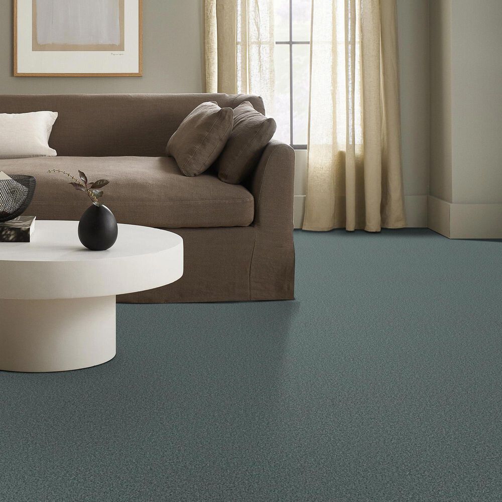 Anderson Tuftex Fabulous Carpet in Splashy, , large