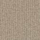 Phenix Cabana Carpet in Popsicle, , large