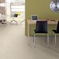 Anderson Tuftex Artifact Carpet in Ivory Cream, , large
