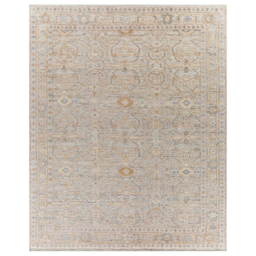 Surya Revere 10" x 14" Gray, Brown, Olive and Cream Area Rug, , large