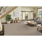 Phenix Capri Carpet in Natural Beauty, , large